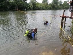 Multiple Divers in the Water
